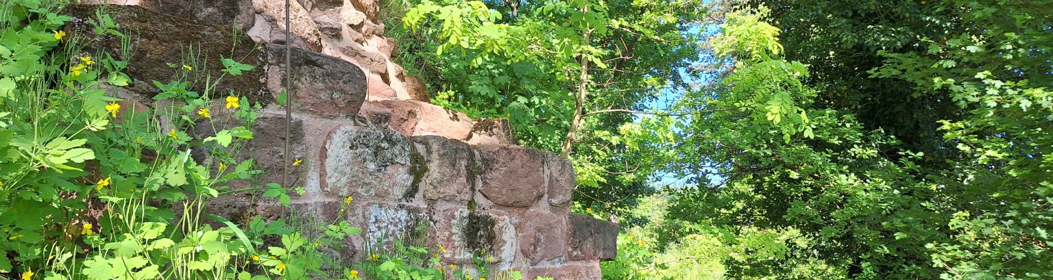 Ruinen / Steine, umgeben von Bäumen und Gräsern