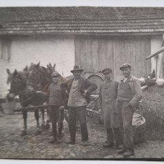Landwirtschaft mit Pferdefuhrwerk in Kerzenheim