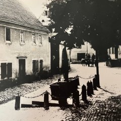 Dorfbrunnen mit Linde "am Römer" in Kerzenheim