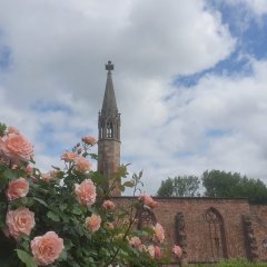Klostermauern mit Kirchturm, davor Rosenbüsche