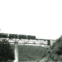 Fahrt der Eistalbahn