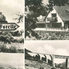 Restaurant "Zur Forelle"