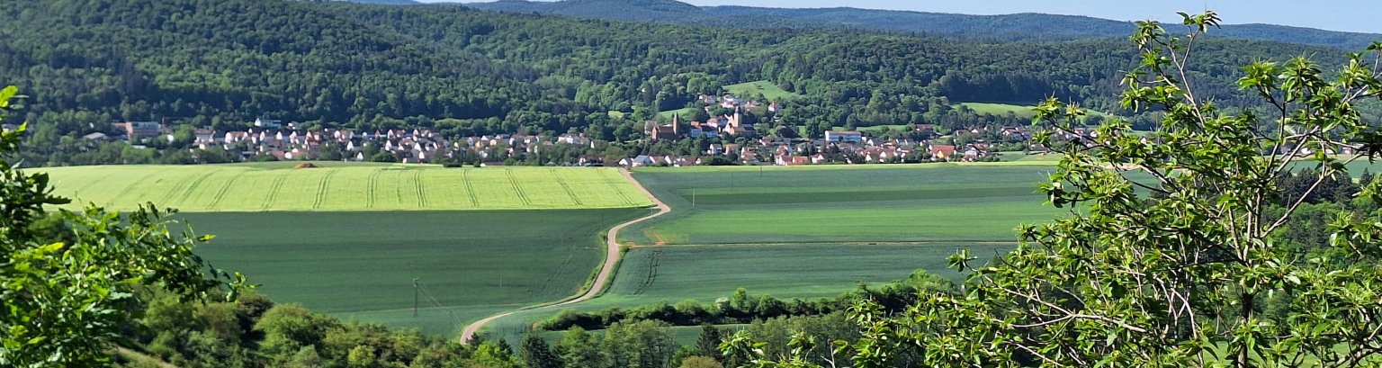 Blick auf die Ortsgemeinde Ramsen