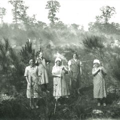 Frauen bei Wiederaufforsten in Ramsen nach dem 2. Weltkrieg