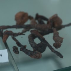 Eisennägel zu sehen im Römermuseum